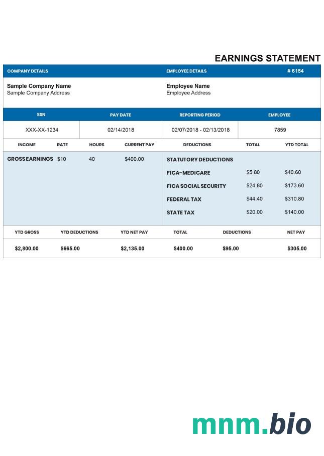 DARKBLUE pay stub Word i szablon PDF